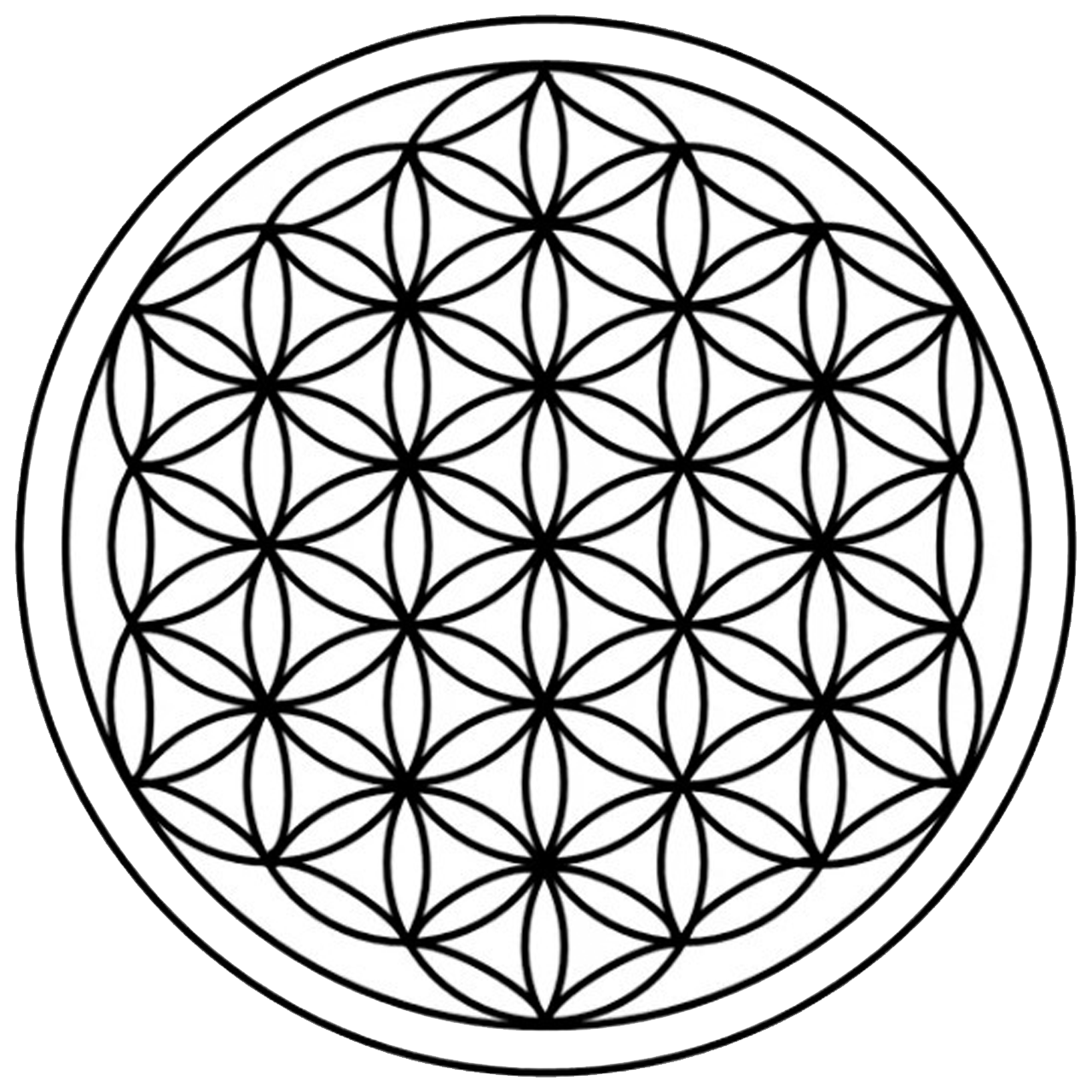 Fiore della Vita — simbolo sacro di guarigione