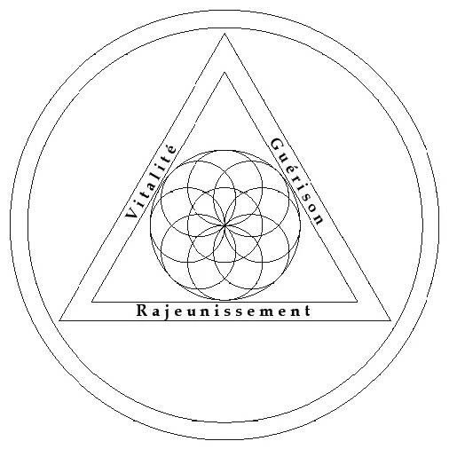 N° 42 RIVITALIZZATORE DEI CHAKRA